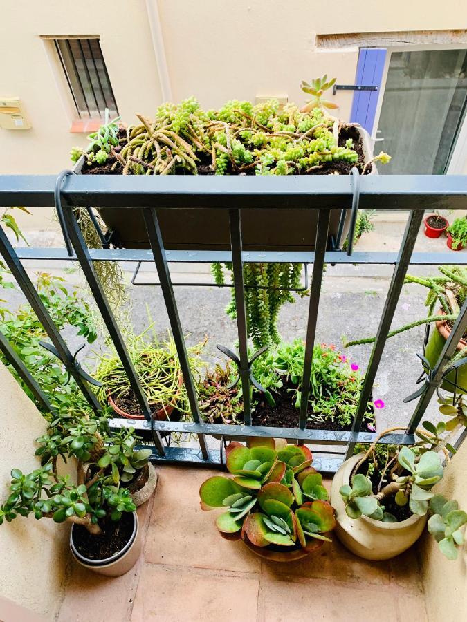 Maison Historique Rue Vermeille Argeles Sur Mer Εξωτερικό φωτογραφία
