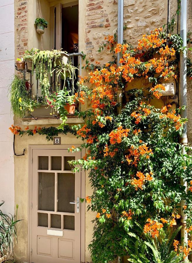 Maison Historique Rue Vermeille Argeles Sur Mer Εξωτερικό φωτογραφία