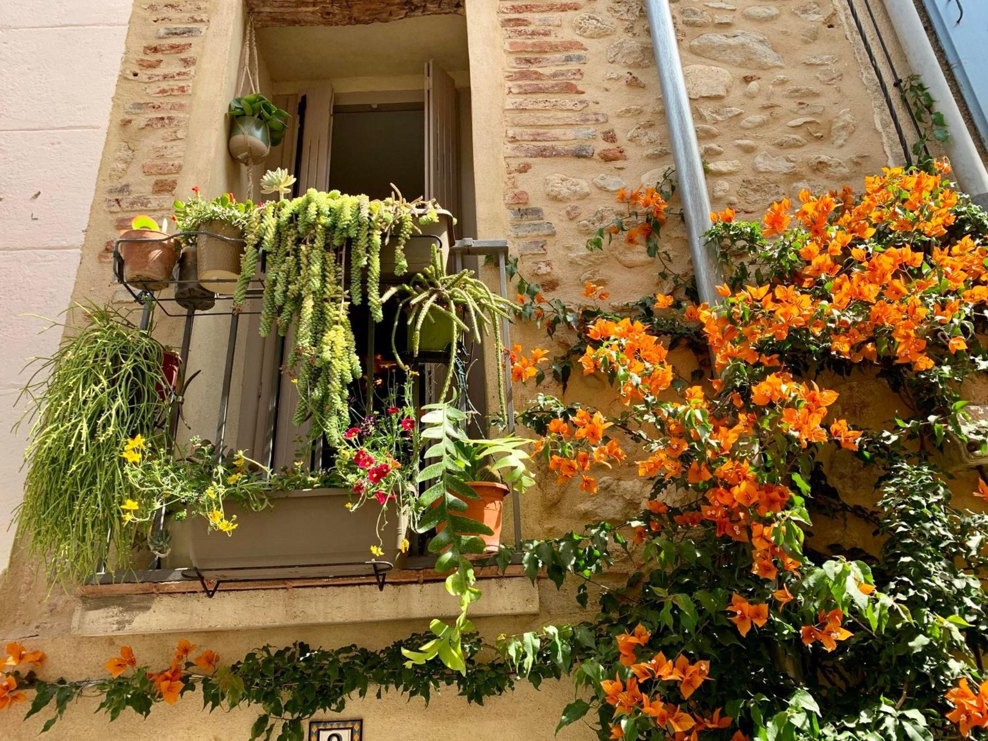 Maison Historique Rue Vermeille Argeles Sur Mer Εξωτερικό φωτογραφία