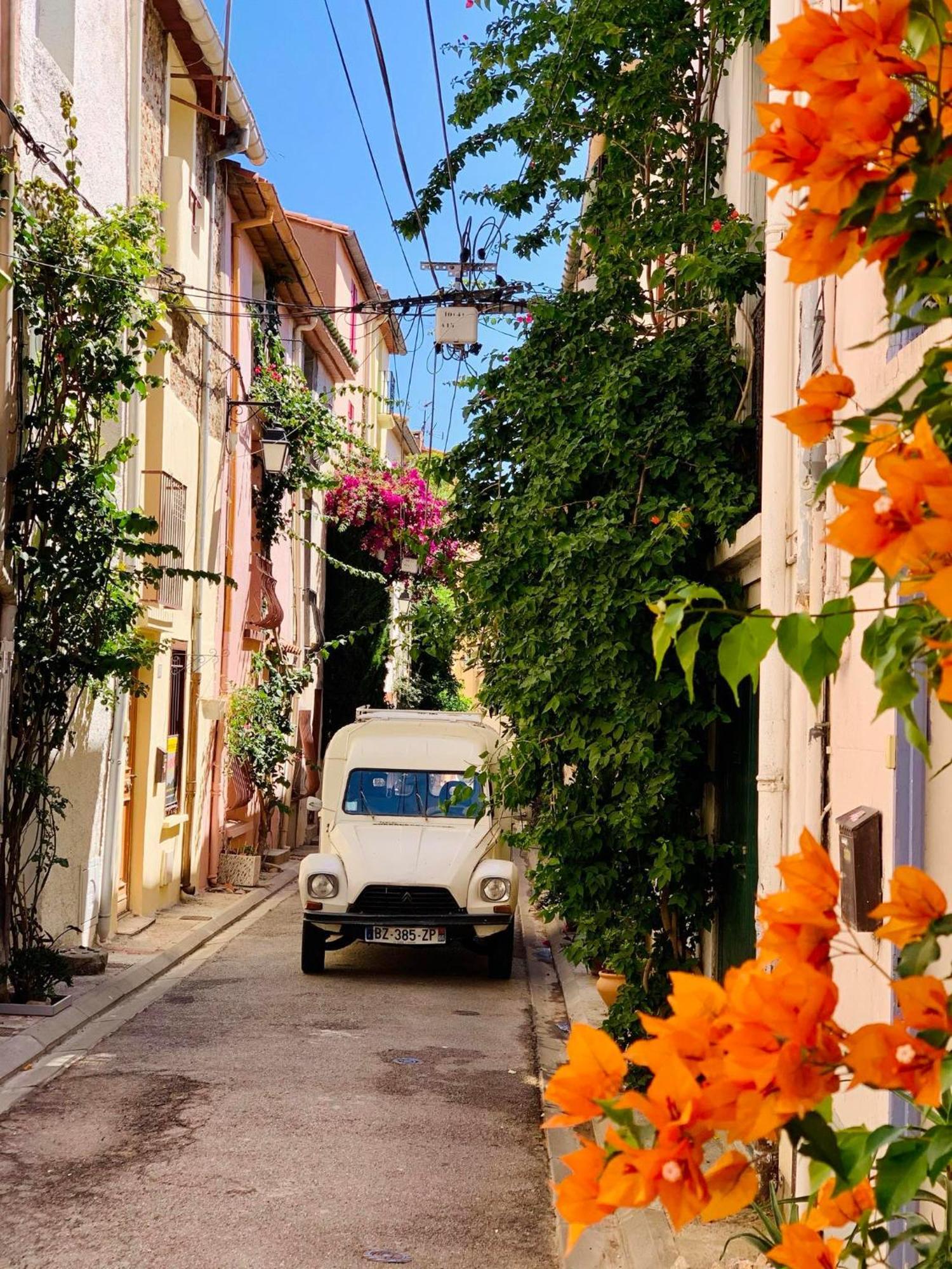 Maison Historique Rue Vermeille Argeles Sur Mer Εξωτερικό φωτογραφία